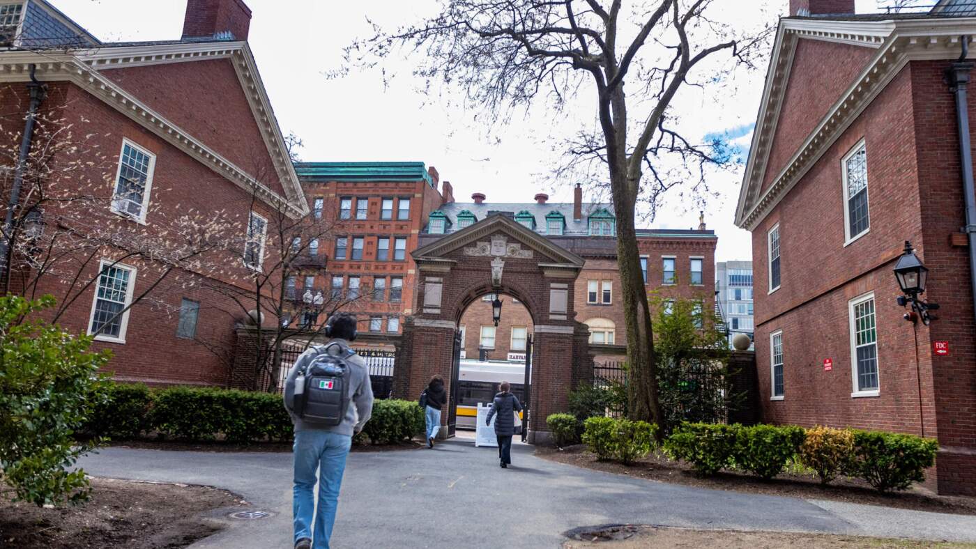 哈佛大学和特朗普在波士顿法庭上的律师