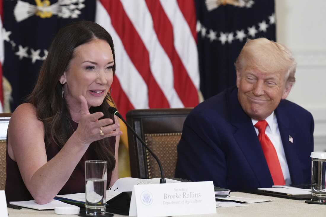 农业秘书布鲁克·罗林斯（Brooke Rollins），左派和特朗普总统在5月22日在白宫举行的委员会委员会再次参加了使美国健康的活动。