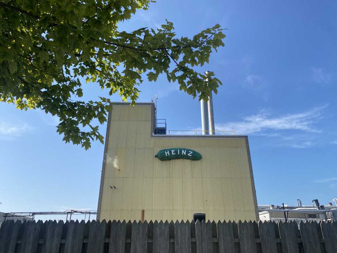 密歇根州荷兰的Kraft Heinz Plant最有泡菜而闻名。它还生产芥末，醋和亨氏57酱，以及其他产品。