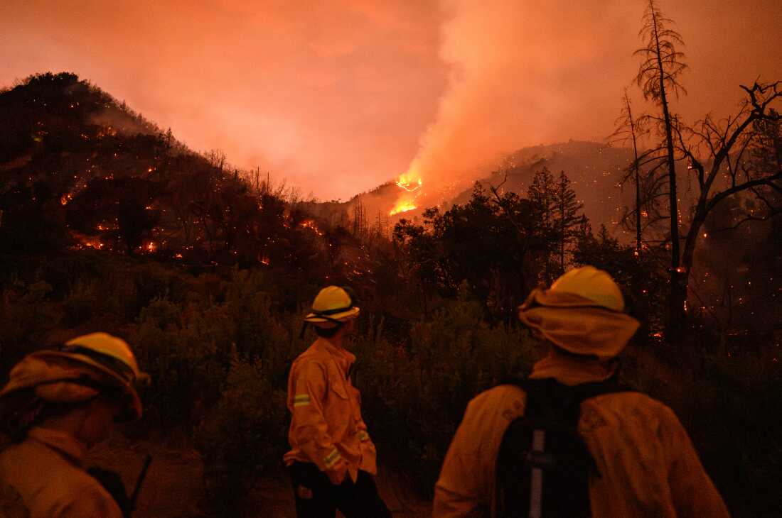 当局说，纳帕谷消防员于8月21日在加利福尼亚州卡利斯托加的Pickett Fire燃烧时。