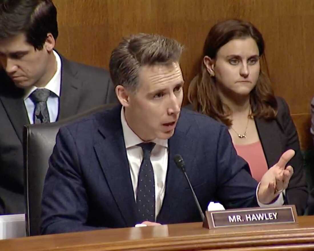 R.-Missouri参议员乔什·霍利（Josh Hawley）在听证室以动画方式讲话。