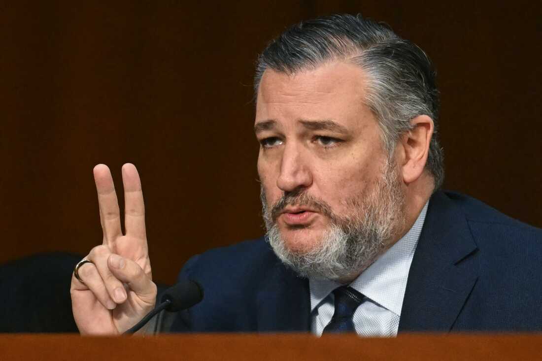 参议员特德·克鲁兹（Ted Cruz），R-Texas，在9月16日的参议院司法委员会听证会上，联邦调查局局长卡什·帕特尔（Kash Patel）询问。