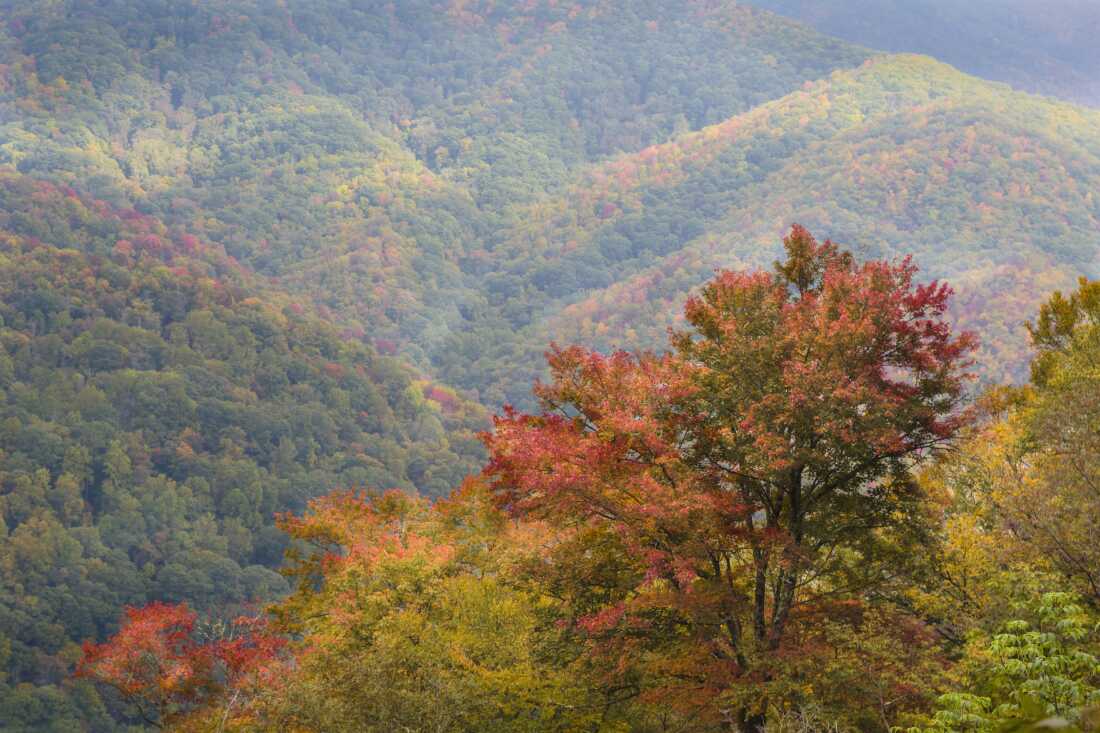 大烟山国家公园的秋季风景。