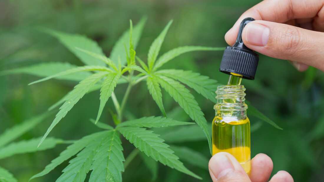 许多人尝试使用大麻来治疗背痛。现在来自欧洲的新研究表明这可能是一个有效的选择。