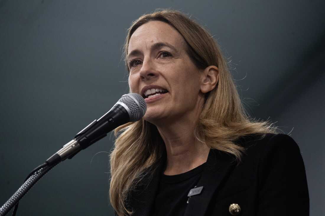 新泽西州民主党州长候选人米基·谢里尔 (Mikie Sherrill) 于 2025 年 10 月 11 日在新泽西州韦斯特维尔向人群发表讲话。谢里尔将于 11 月 4 日与共和党候选人杰克·西亚塔雷利 (Jack Ciattarelli) 展开对决。