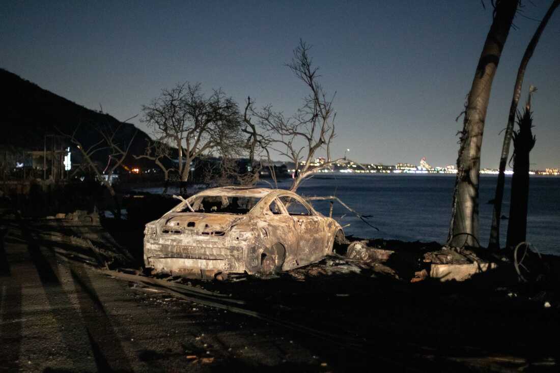在太平洋海岸高速公路受影响的路段上可以看到帕利塞兹火灾的后果。
