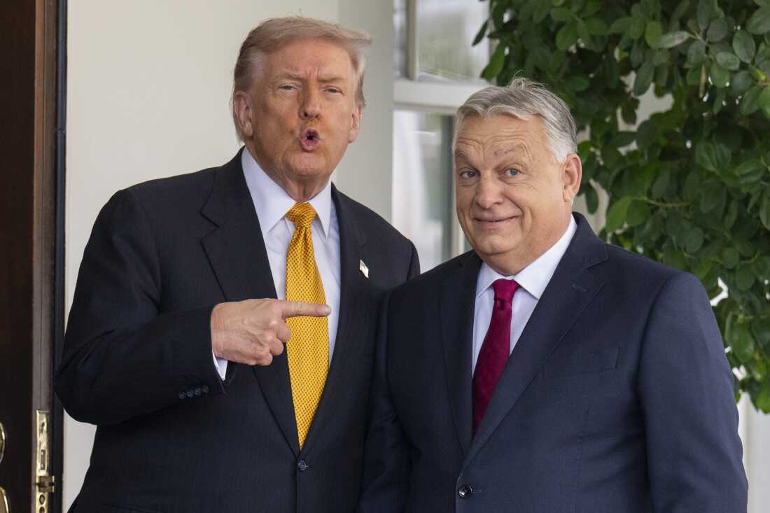 2025 年 11 月 7 日，当匈牙利总理维克多·欧尔班 (Victor Orbán) 抵达白宫时，特朗普总统向他致意。特朗普称赞欧尔班是一位 "强人。"