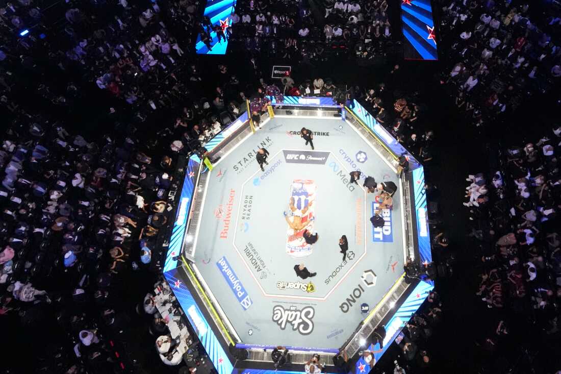 2026 年 6 月 15 日星期一，华盛顿，在白宫南草坪举行的 UFC Freedom 250 比赛中，亚历克斯·佩雷拉（最右边）在场，西丽尔·甘恩躺在擂台中央。