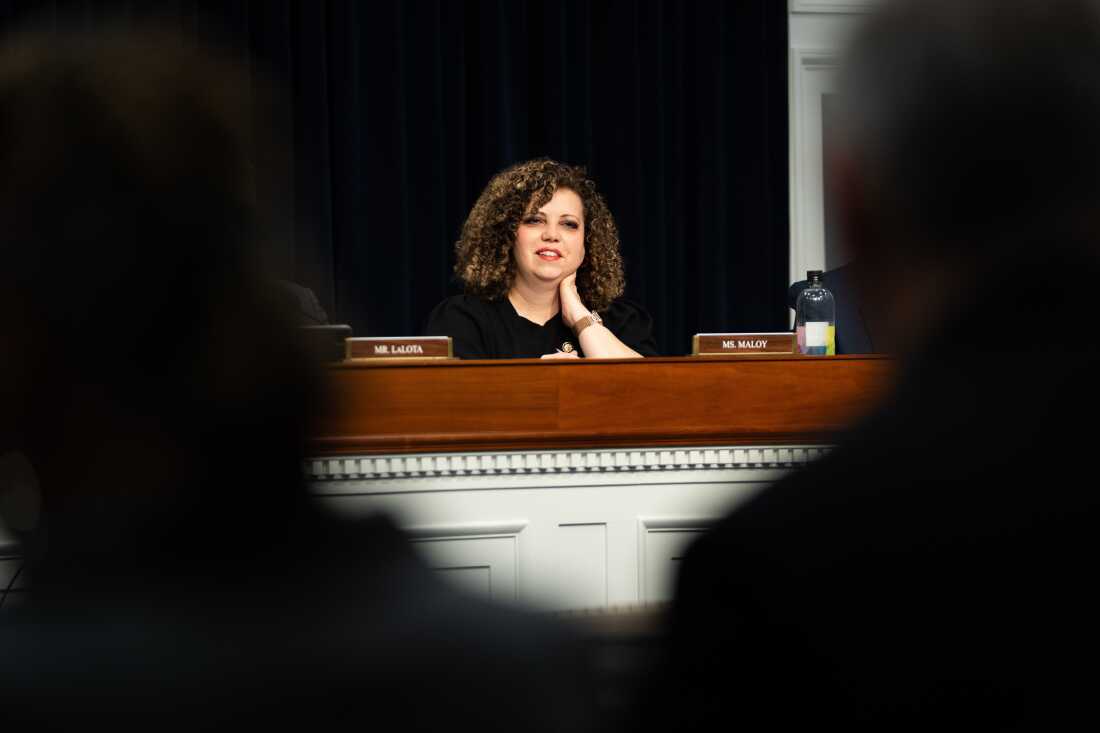 3 月 6 日，犹他州共和党众议员 Celeste Maloy 在国会大厦举行的委员会听证会上聆听。