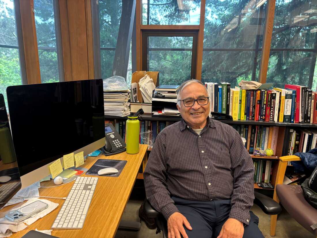 火灾生态学家埃内斯托·阿尔瓦拉多（Ernesto Alvarado）在华盛顿大学西雅图办公室，该大学是联邦研究补助金的最高获得者。